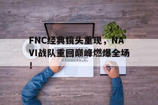 FNC经典镜头重现，NAVI战队重回巅峰燃爆全场！
