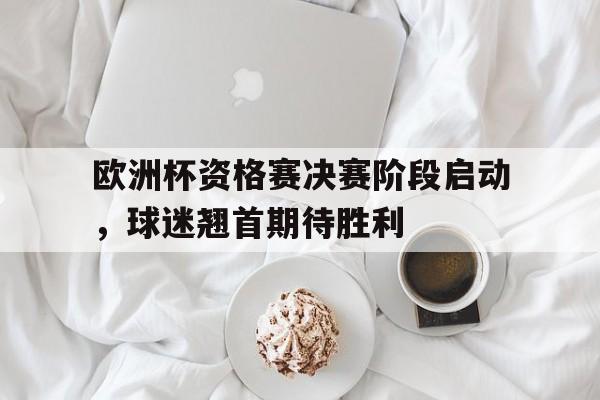 欧洲杯资格赛决赛阶段启动，球迷翘首期待胜利